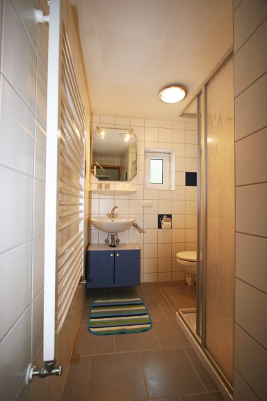 Helles Badezimmer mit komfortabler Ausstattung in der Ferienwohnung in Zwiesel Modernes Badezimmer der Ferienwohnung Wernerhäusl mit Dusche, WC und Handtuchheizkörper