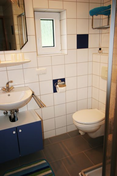 Helles Badezimmer mit komfortabler Ausstattung in der Ferienwohnung in Zwiesel Modernes Badezimmer der Ferienwohnung Wernerhäusl mit Dusche, WC und Handtuchheizkörper