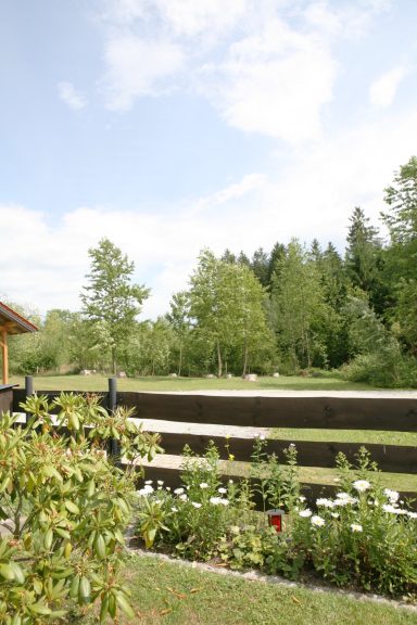 Ferienhaus Wernerhäusl mit Garten in ruhiger Lage am Waldrand von Zwiesel Außenansicht des Wernerhäusls mit gepflegtem Garten und grüner Umgebung in Zwiesel im Bayerischen Wald